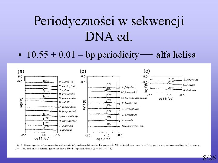 Periodyczności w sekwencji DNA cd. • 10. 55 ± 0. 01 – bp periodicity