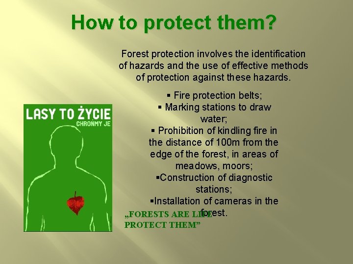 How to protect them? Forest protection involves the identification of hazards and the use