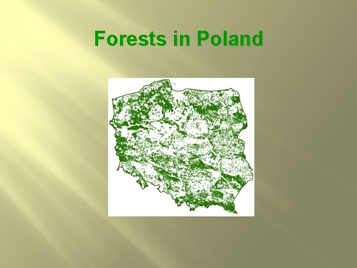 Forests in Poland 