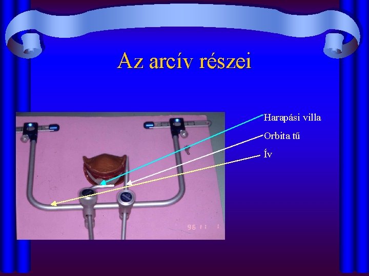 Az arcív részei Harapási villa Orbita tű Ív 