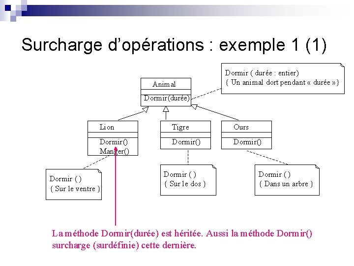 Surcharge d’opérations : exemple 1 (1) Animal Dormir ( durée : entier) { Un