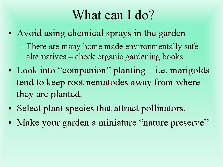 What can I do? • Avoid using chemical sprays in the garden – There