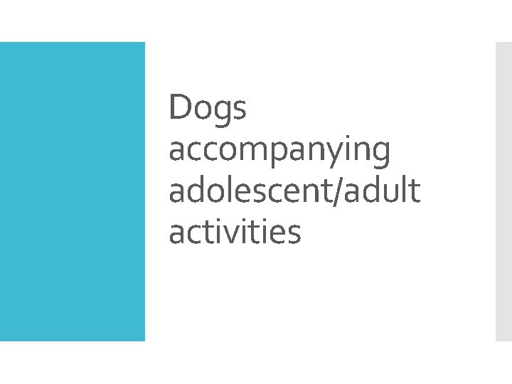 Dogs accompanying adolescent/adult activities 