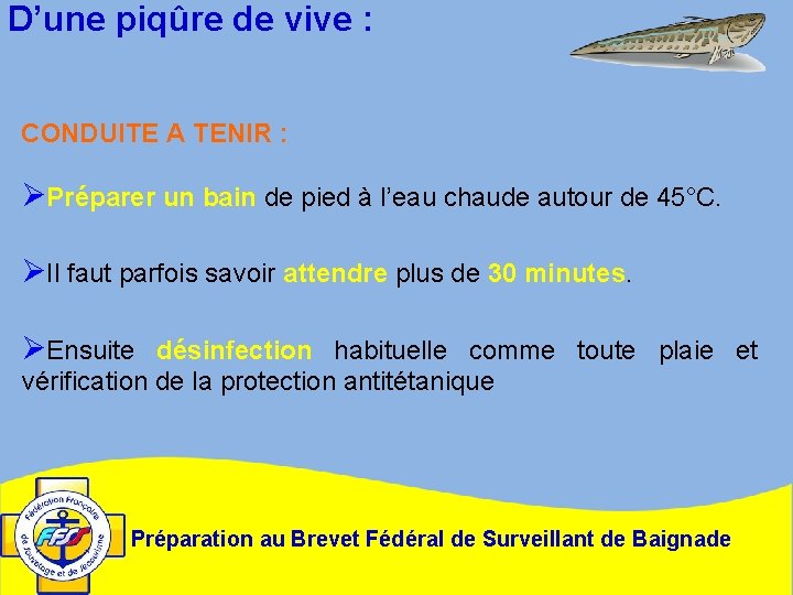 D’une piqûre de vive : CONDUITE A TENIR : ØPréparer un bain de pied