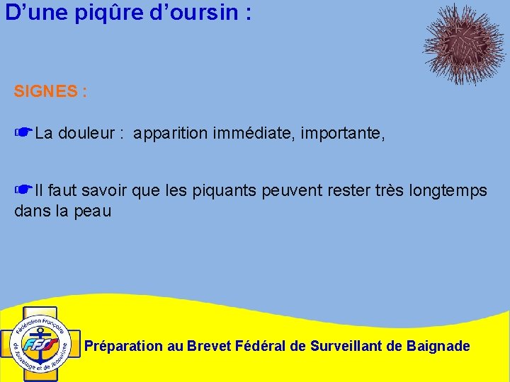 D’une piqûre d’oursin : SIGNES : ☛La douleur : apparition immédiate, importante, ☛Il faut