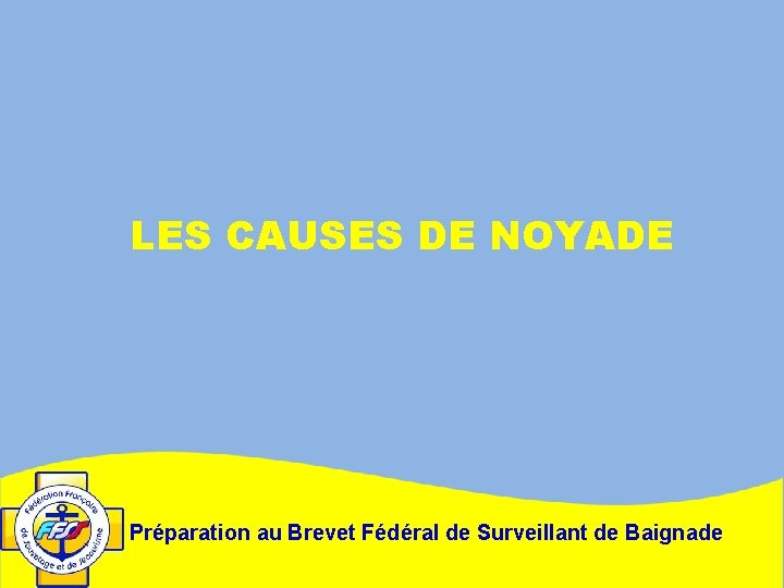 LES CAUSES DE NOYADE Préparation au Brevet Fédéral de Surveillant de Baignade 
