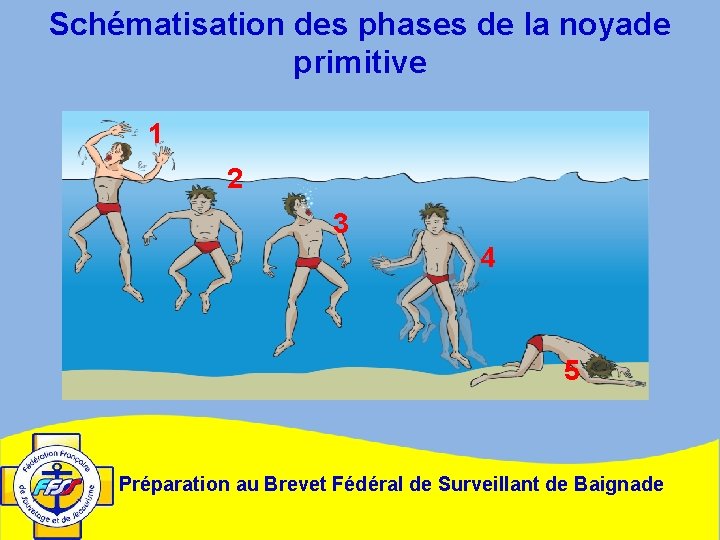 Schématisation des phases de la noyade primitive 1 2 3 4 5 Préparation au