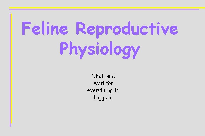 Feline Reproductive Physiology Click and wait for everything to happen. 