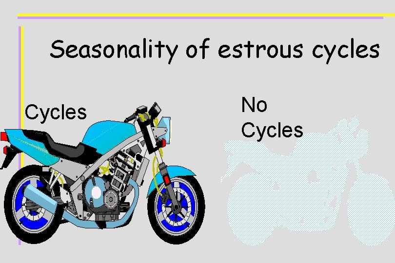 Seasonality of estrous cycles Cycles No Cycles 