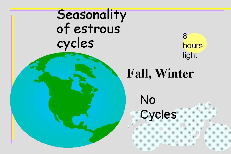 Seasonality of estrous cycles 8 hours light Fall, Winter No Cycles 