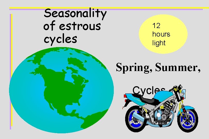 Seasonality of estrous cycles 12 hours light Spring, Summer, Cycles 