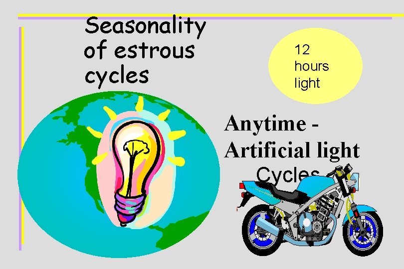 Seasonality of estrous cycles 12 hours light Anytime Artificial light Cycles 