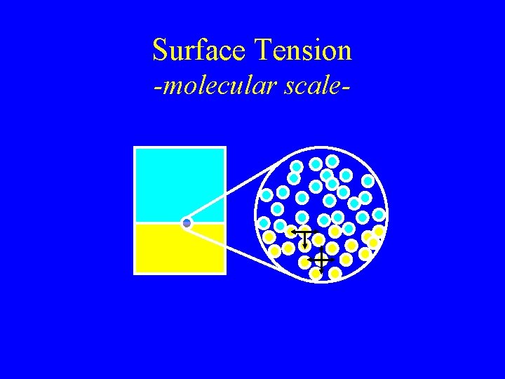 Surface Tension -molecular scale- 