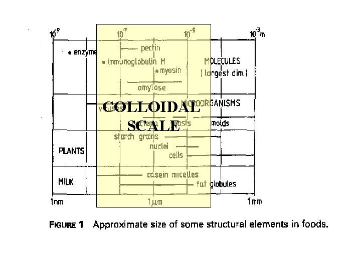 COLLOIDAL SCALE 