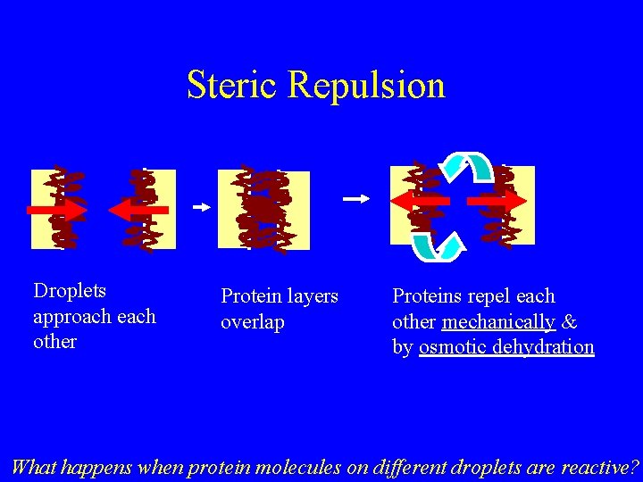 Steric Repulsion Droplets approach each other Protein layers overlap Proteins repel each other mechanically