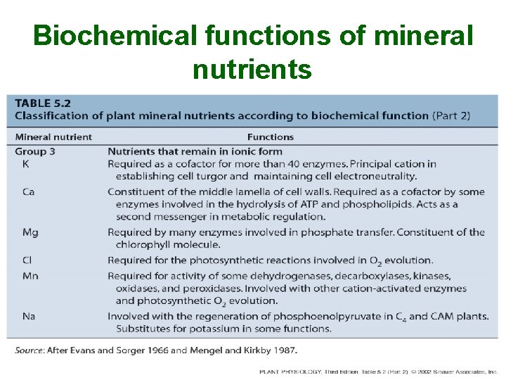 Biochemical functions of mineral nutrients 