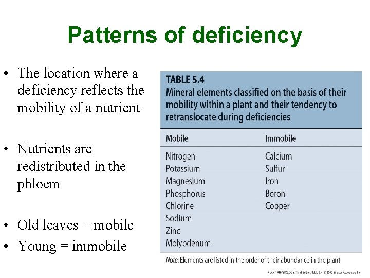 Patterns of deficiency • The location where a deficiency reflects the mobility of a