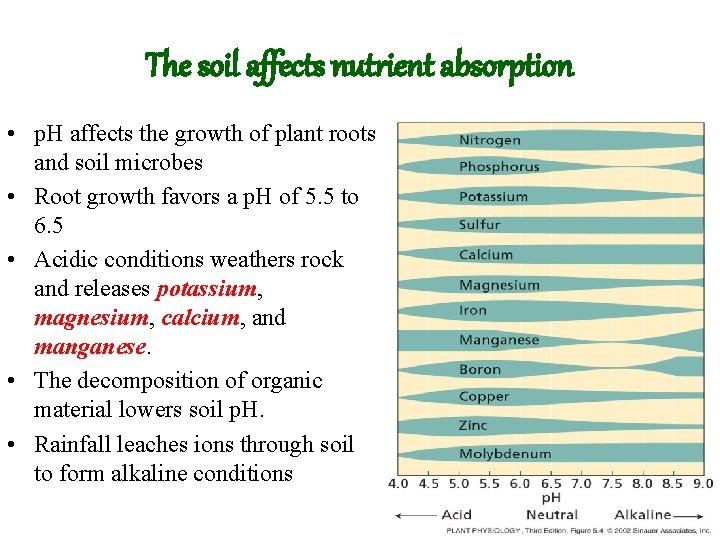 The soil affects nutrient absorption • p. H affects the growth of plant roots