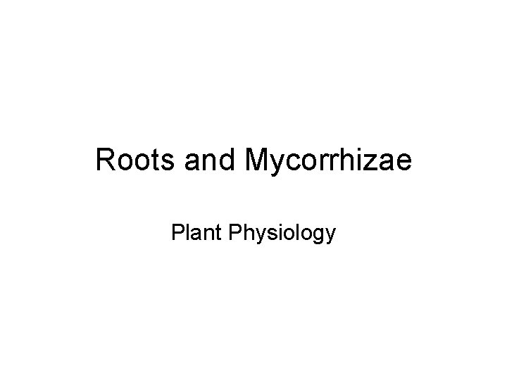 Roots and Mycorrhizae Plant Physiology 