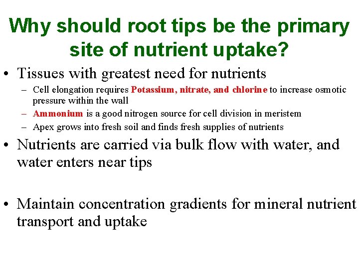 Why should root tips be the primary site of nutrient uptake? • Tissues with