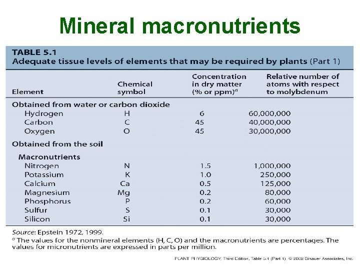 Mineral macronutrients 