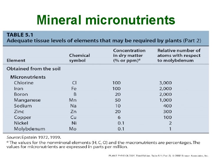 Mineral micronutrients 