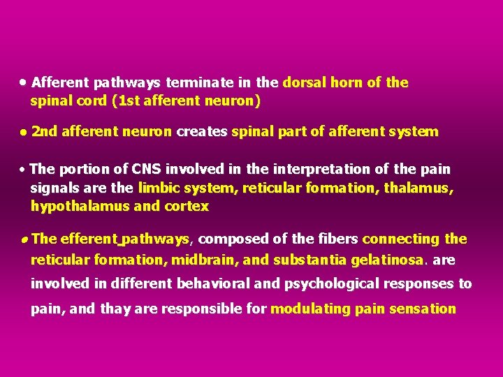  Afferent pathways terminate in the dorsal horn of the spinal cord (1 st