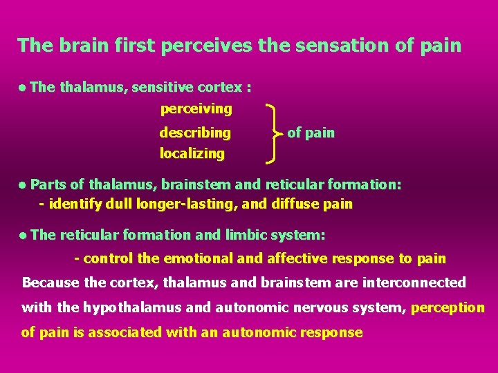 The brain first perceives the sensation of pain • The thalamus, sensitive cortex :