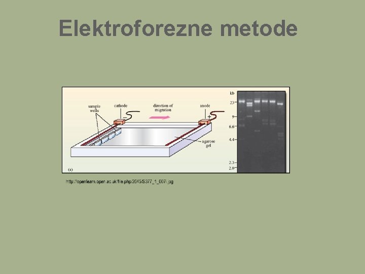 Elektroforezne metode 