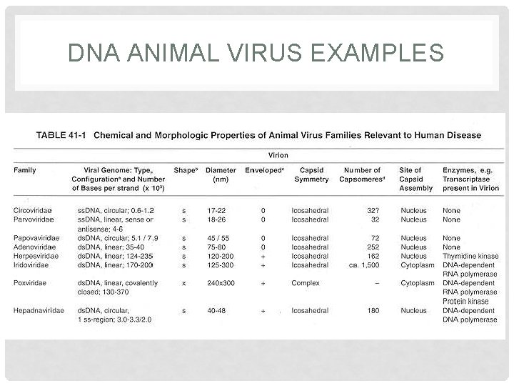 DNA ANIMAL VIRUS EXAMPLES 