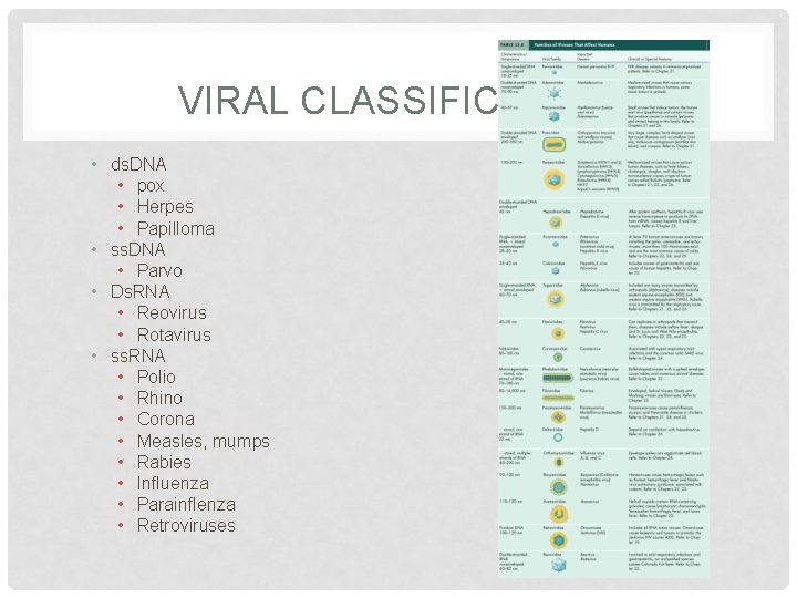 VIRAL CLASSIFICATION • ds. DNA • pox • Herpes • Papilloma • ss. DNA