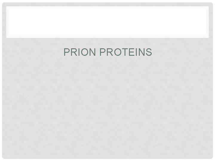 PRION PROTEINS 