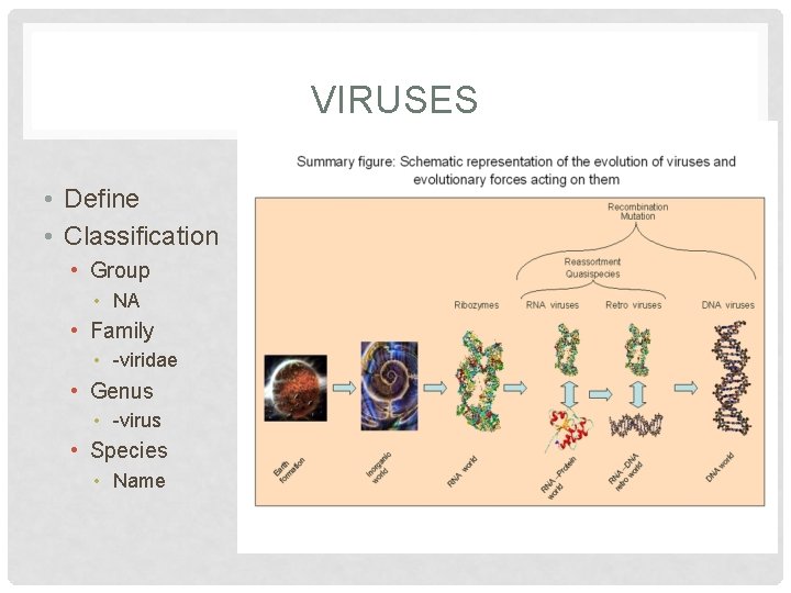 VIRUSES • Define • Classification • Group • NA • Family • -viridae •