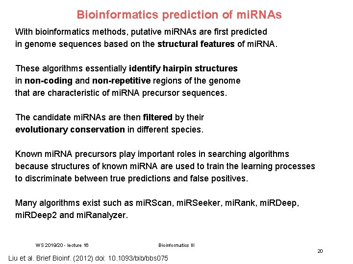 Bioinformatics prediction of mi. RNAs With bioinformatics methods, putative mi. RNAs are first predicted