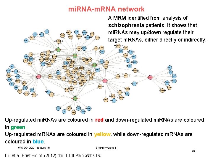 mi. RNA-m. RNA network A MRM identified from analysis of schizophrenia patients. It shows
