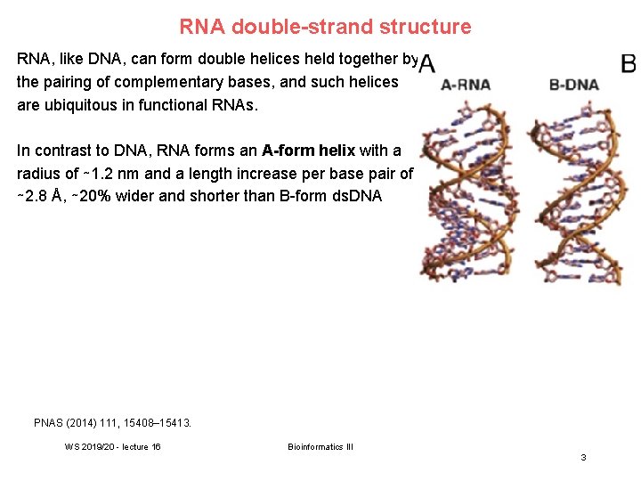 RNA double-strand structure RNA, like DNA, can form double helices held together by the