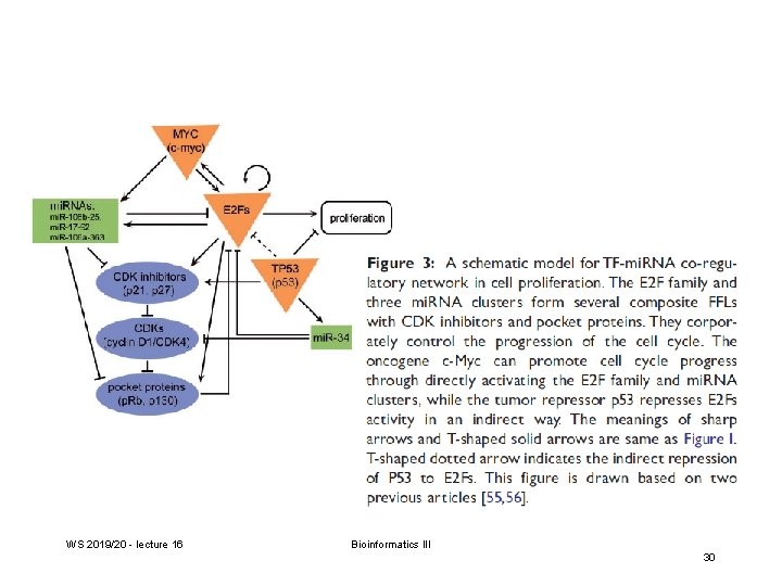 WS 2019/20 - lecture 16 Bioinformatics III 30 