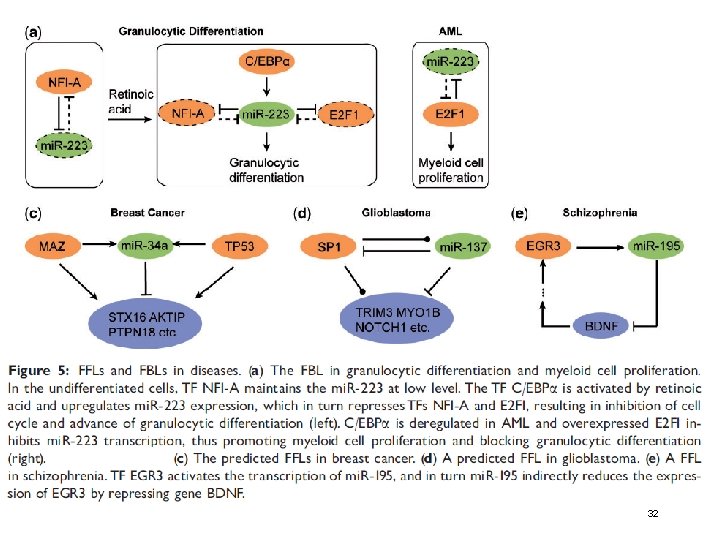 WS 2019/20 - lecture 16 Bioinformatics III 32 
