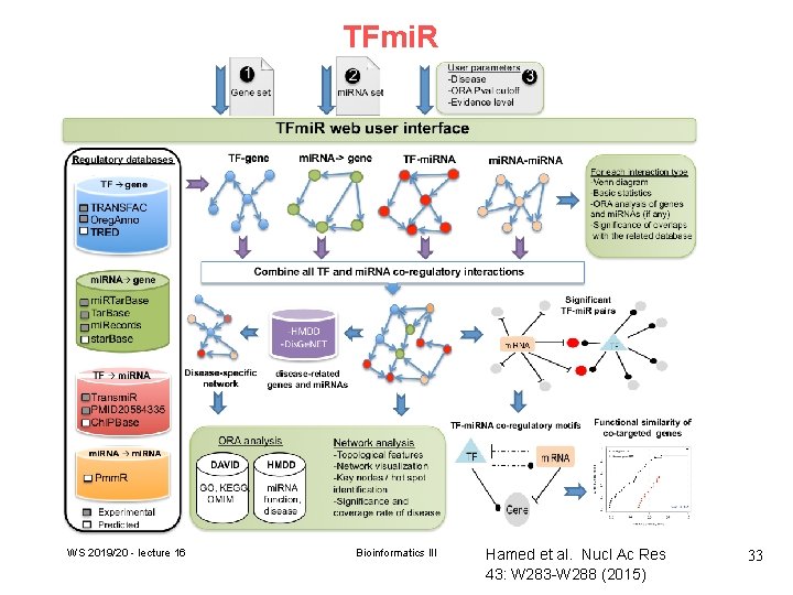 TFmi. R WS 2019/20 - lecture 16 Bioinformatics III Hamed et al. Nucl Ac