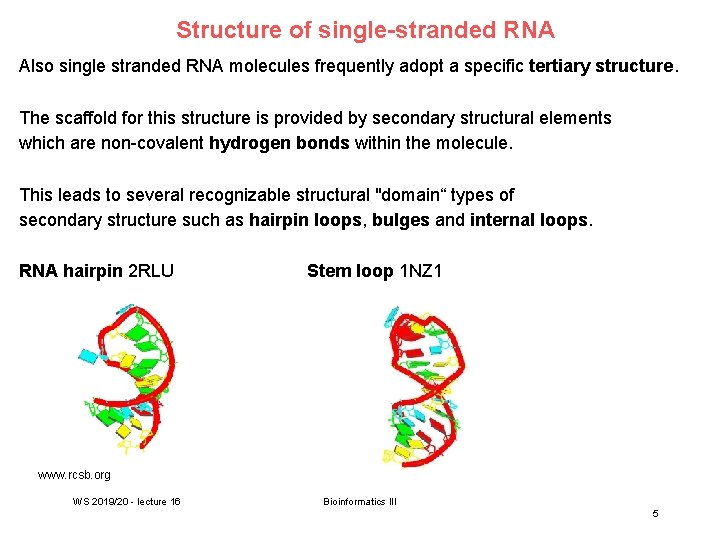 Structure of single-stranded RNA Also single stranded RNA molecules frequently adopt a specific tertiary