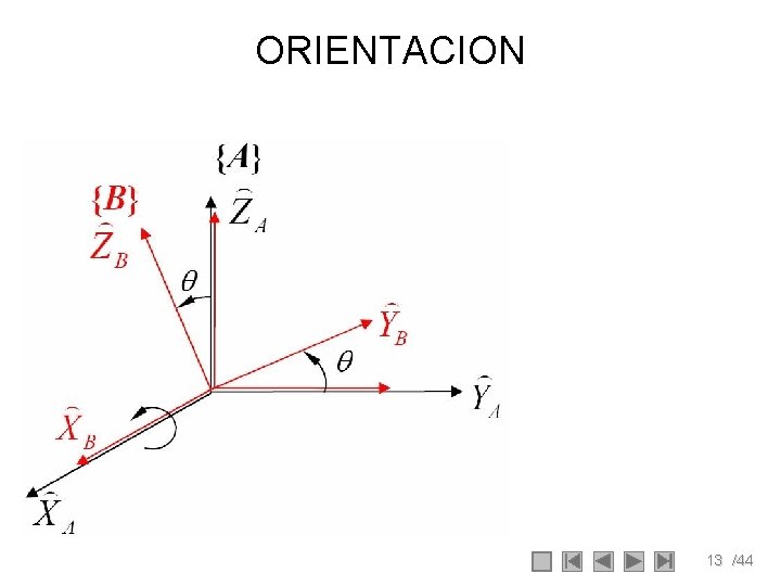 ORIENTACION 13 /44 