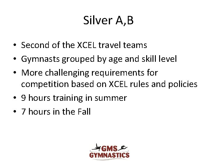 Silver A, B • Second of the XCEL travel teams • Gymnasts grouped by