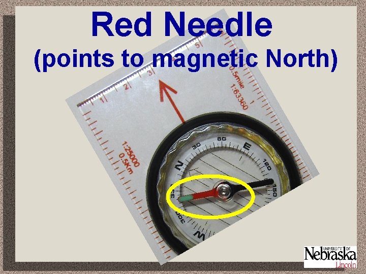 Red Needle (points to magnetic North) 