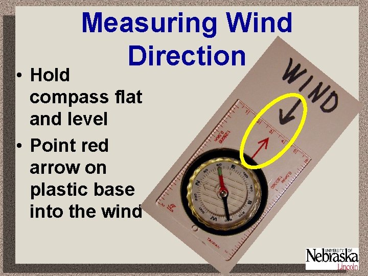 Measuring Wind Direction • Hold compass flat and level • Point red arrow on