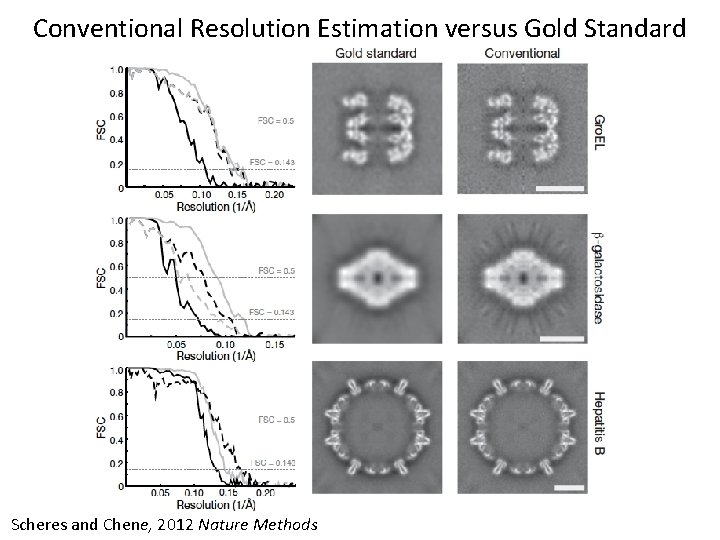 Conventional Resolution Estimation versus Gold Standard Scheres and Chene, 2012 Nature Methods 