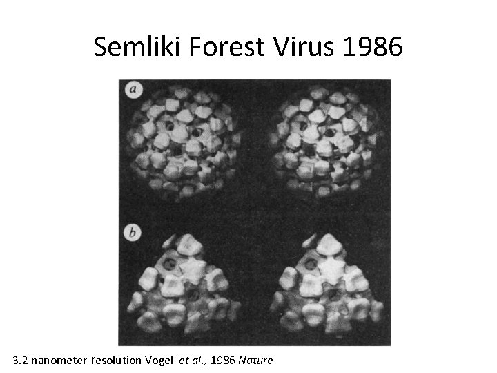 Semliki Forest Virus 1986 3. 2 nanometer resolution Vogel et al. , 1986 Nature