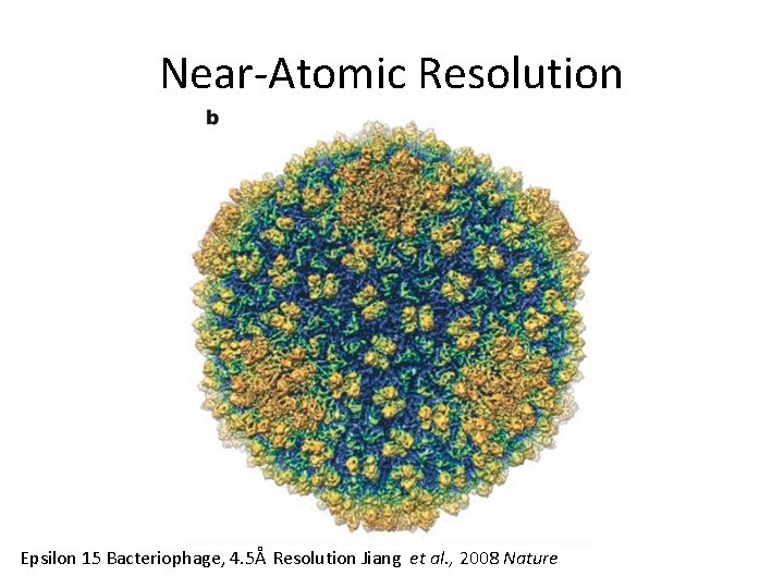 Near-Atomic Resolution Epsilon 15 Bacteriophage, 4. 5Å Resolution Jiang et al. , 2008 Nature