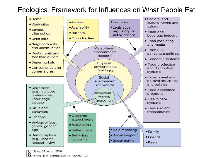 Ecological Framework for Influences on What People Eat 