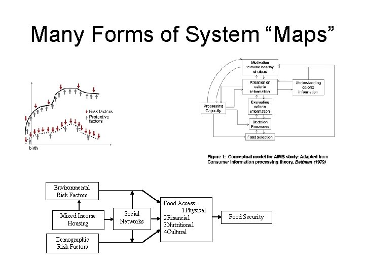 Many Forms of System “Maps” Environmental Risk Factors Mixed Income Housing Demographic Risk Factors