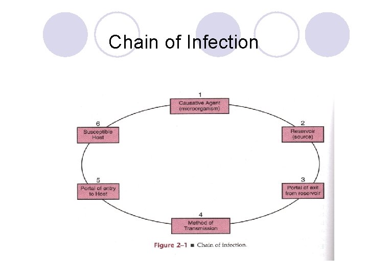 Chain of Infection 